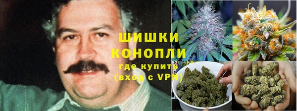 сатива Баксан