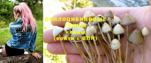 сатива Баксан