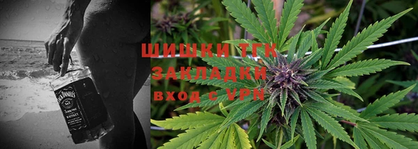 сатива Баксан