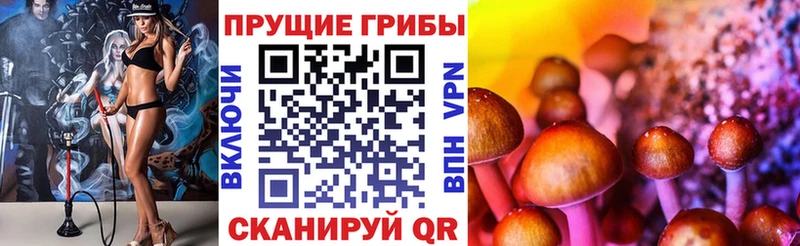 Галлюциногенные грибы GOLDEN TEACHER где найти мега как войти Новая Ляля