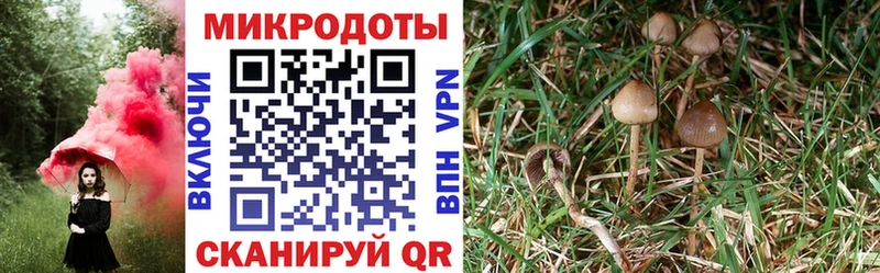 Псилоцибиновые грибы MAGIC MUSHROOMS Новая Ляля